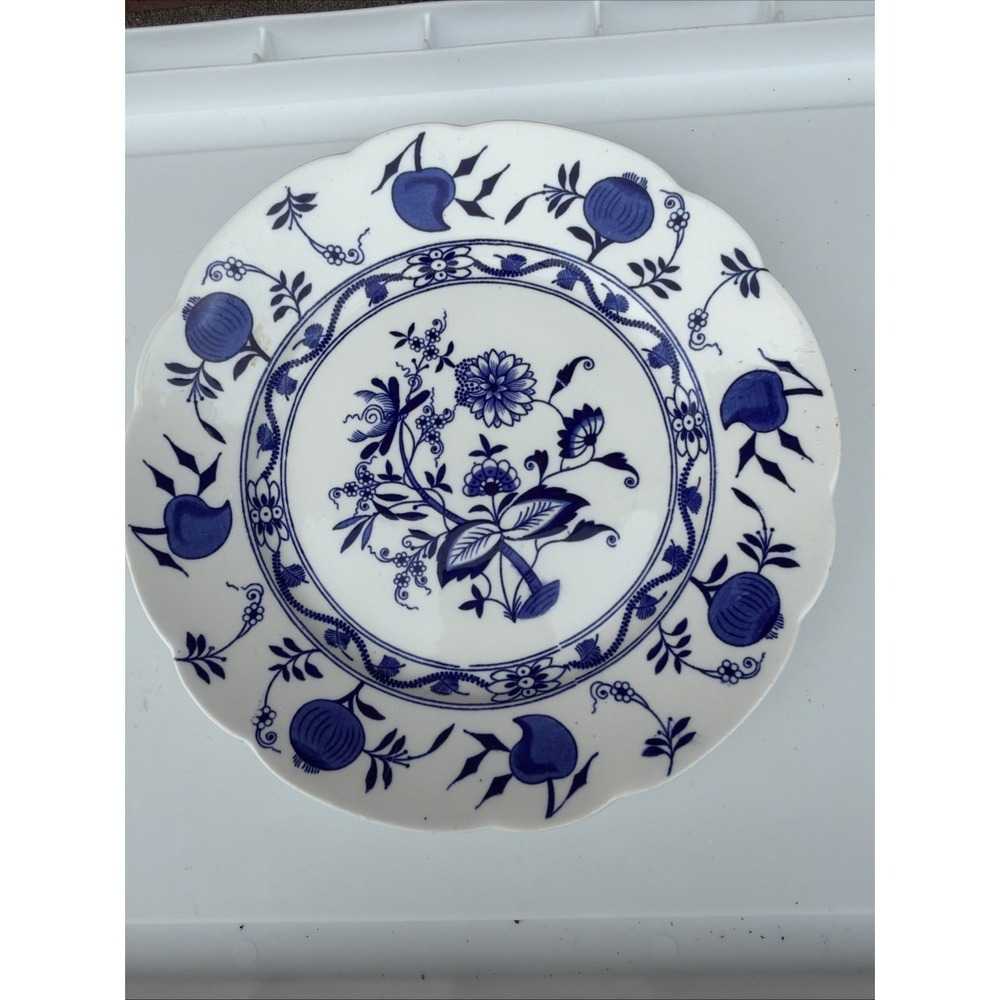 Original Blue Onion Pattern Dinner Plate, Czech, Great, Shipping Included